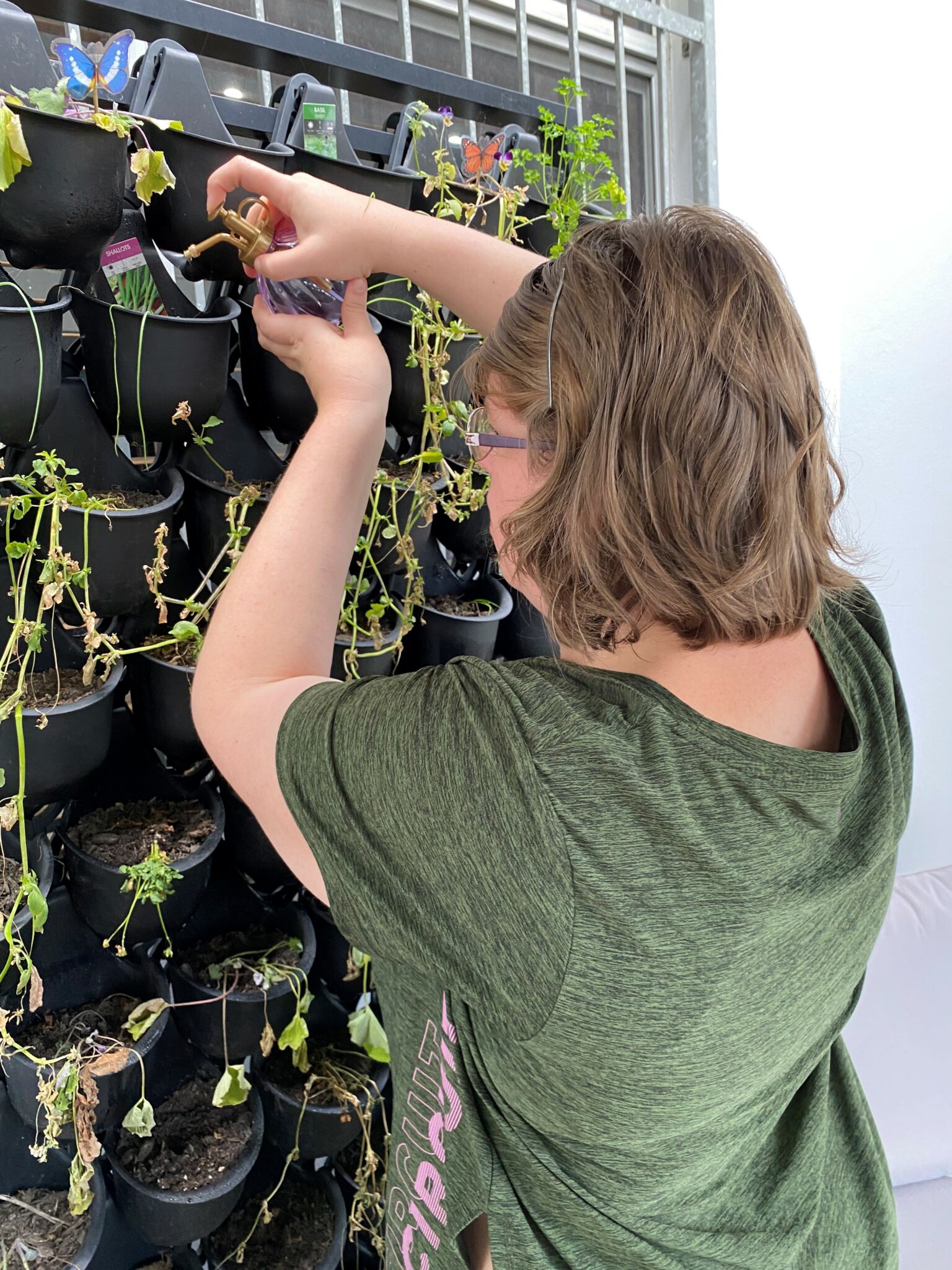 Campbelltown Day Program Hub Eloma Care